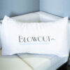 Blowout Co Silk Pillow Case